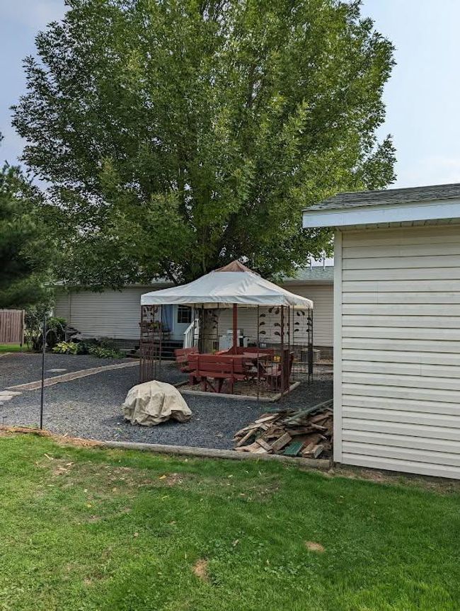 backyard photo | Image 37