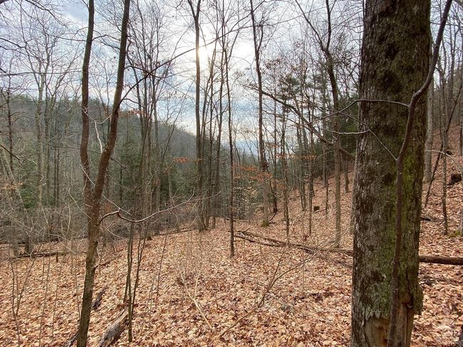 15 Gorge Rd, Home with 0 bedrooms, 0 bathrooms and null parking in Middleburgh NY | Image 12