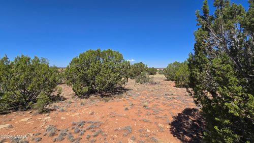 3711 E Wingfield Road, Williams, AZ, 86046 | Card Image