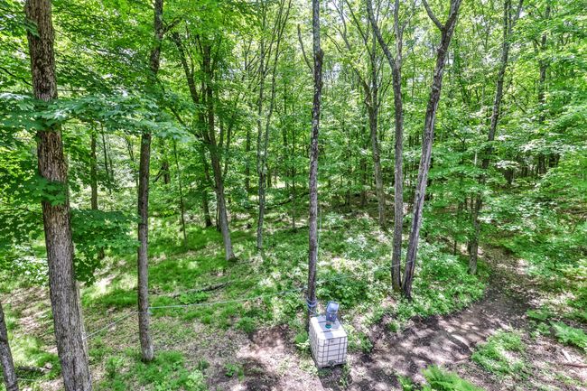 7818 Sutton Rd, House other with 2 bedrooms, 2 bathrooms and null parking in Minocqua WI | Image 36
