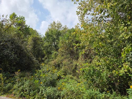 0 T C Steele Rd, Nashville, IN, 47448 | Card Image