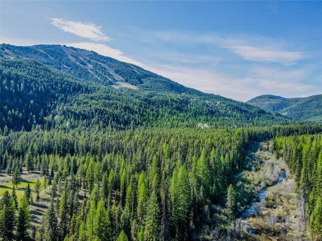 View of mountain background featuring a heavily wooded area | Image 55