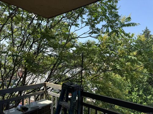 4b-84-09 Queens Blvd, Elmhurst, NY, 11373-4246 | Card Image