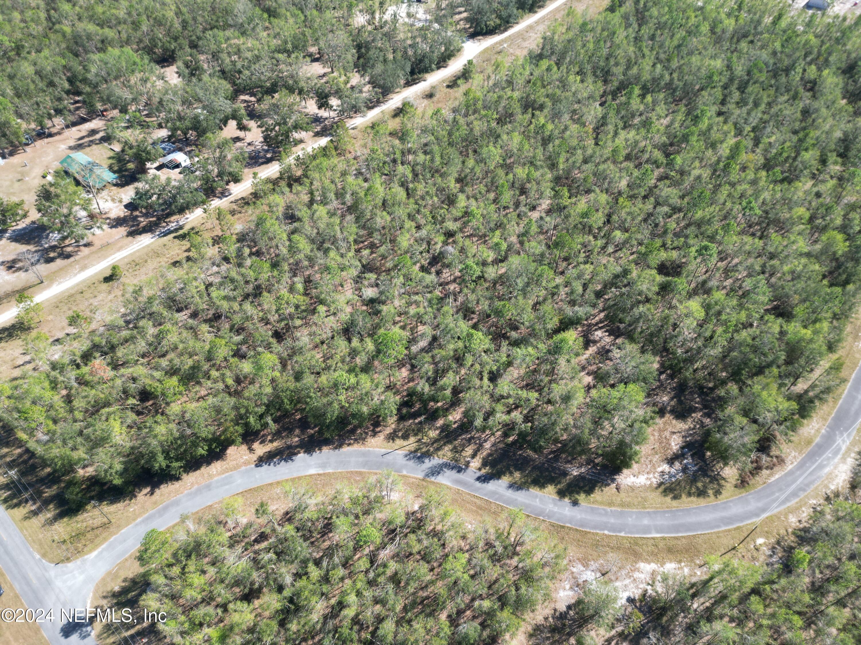Land in Live Oak 3