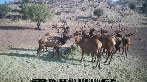 435 Sawmill Canyon Road, San Antonio, NM, 87832 | Card Image