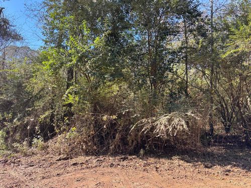 0 Gibson St, Elba, AL, 36323 | Card Image