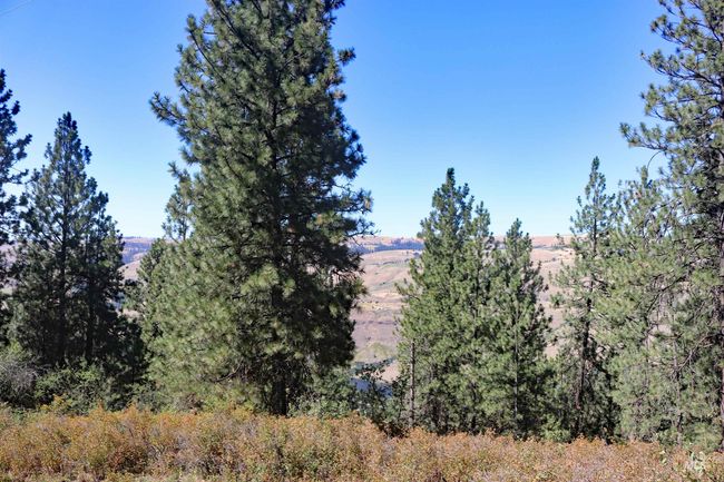 View of mountain background | Image 46