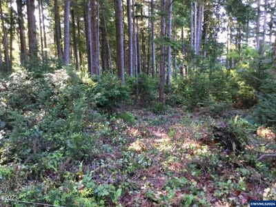 Lot 3400 Gull Station, Home with 0 bedrooms, 0 bathrooms and null parking in Depoe Bay OR | Image 1