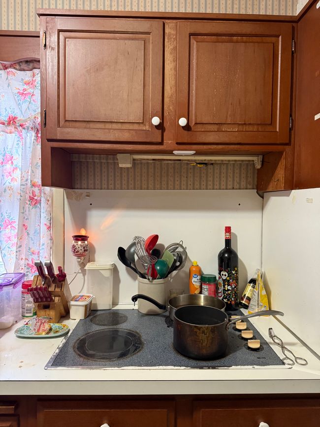 228 Borland Ct, House other with 3 bedrooms, 2 bathrooms and null parking in Saginaw MI | Image 8