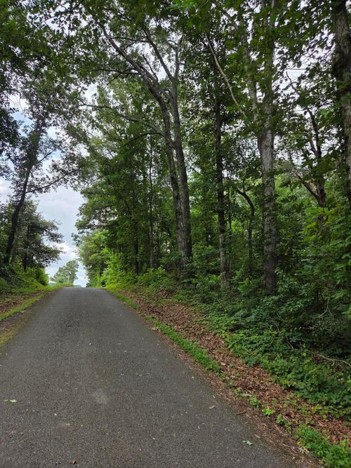 0 County Road 156, Riceville, TN, 37370 | Card Image
