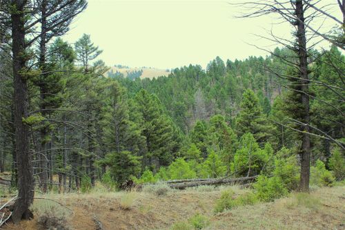 NHN Boulder Chief Road, Basin, MT, 59631 | Card Image