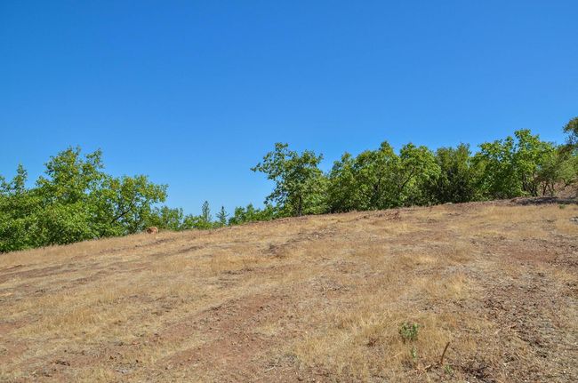 16688 Sonshine Ln, Home with 0 bedrooms, 0 bathrooms and null parking in Sutter Creek CA | Image 43