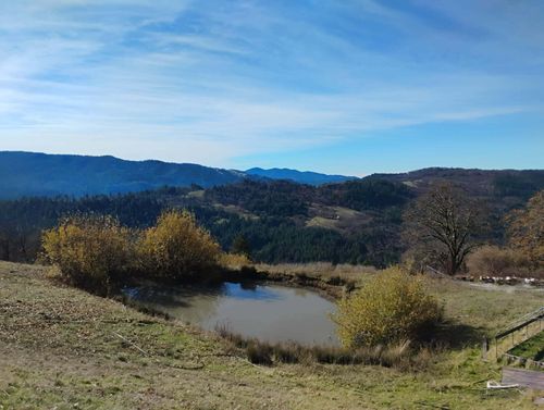 11 Dinsmore Rd, Bridgeville, CA, 95526-9629 | Card Image