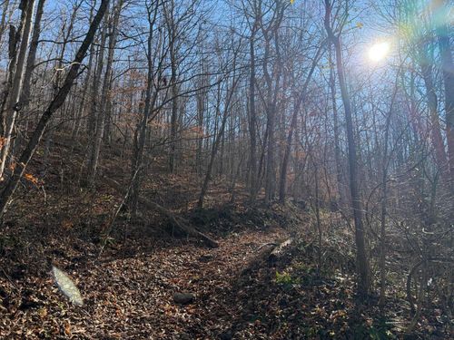 198 Dan Dishman Rd, Monticello, KY, 42633-4609 | Card Image