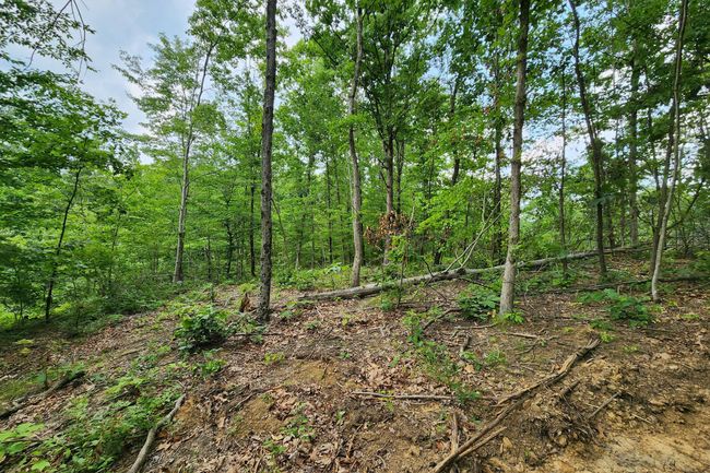 TRACT-3 - 0 Back Run Rd, Home with 0 bedrooms, 0 bathrooms and null parking in Philo OH | Image 19