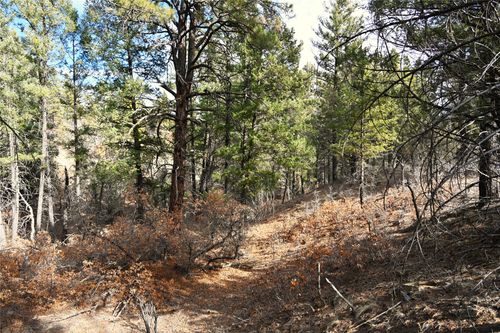 unit-d-1-lot-11-00 Bear Rd Cr 322, Tierra Amarilla, NM, 87575 | Card Image