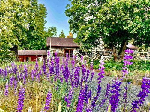 22228 Crestline Rd, Palomar Mountain, CA, 92060 | Card Image