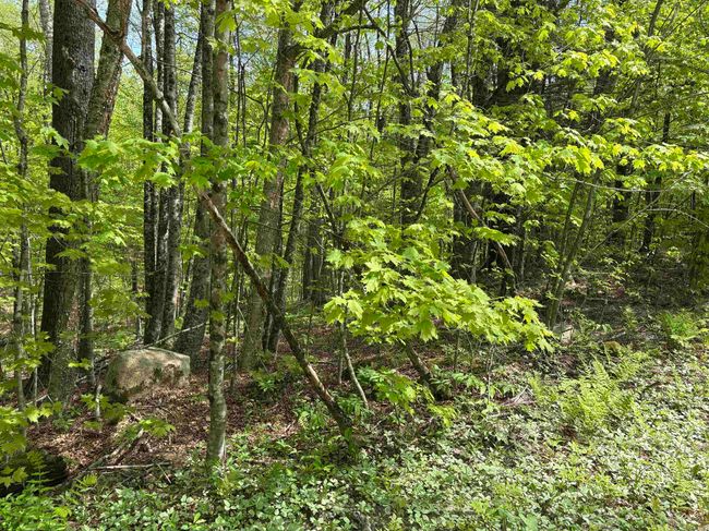 0 Snell Rd, Home with 0 bedrooms, 0 bathrooms and null parking in Chester VT | Image 15