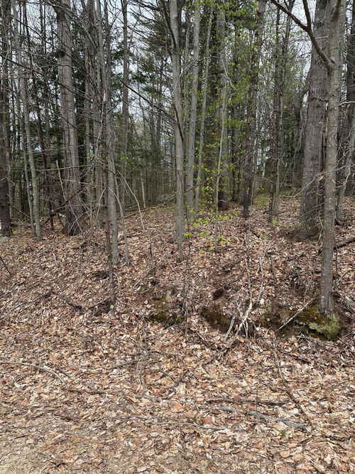 Lot #5 - 344 Moose Hill Road, Livermore Falls, ME, 04254 | Card Image