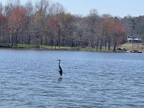 950 Excalibur Trl, Cedar Grove, TN, 38321 | Card Image