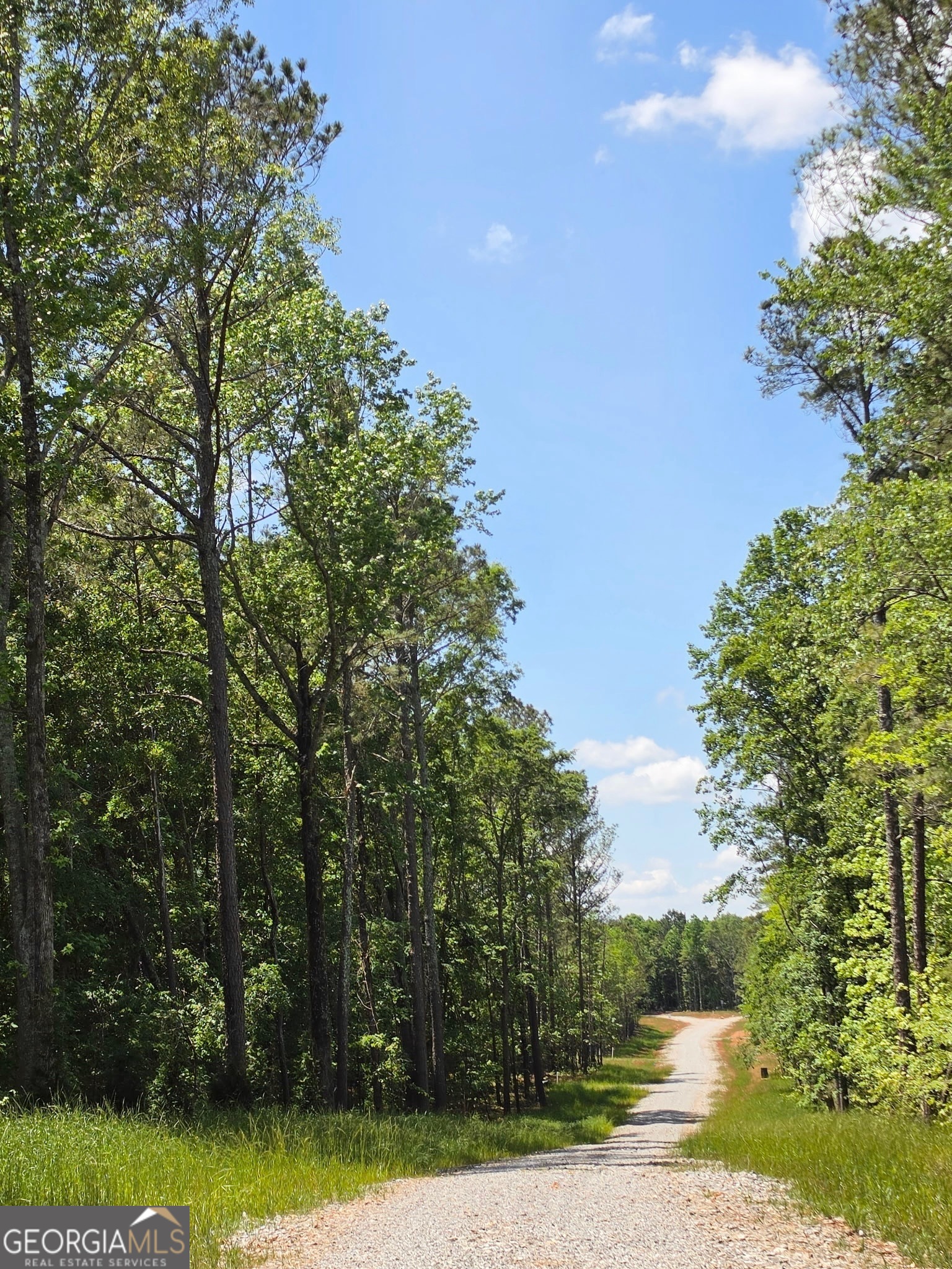 Land in Barnesville 5