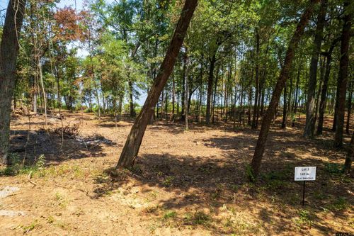 Lot 3 Big Oaks, Leesburg, TX, 75451 | Card Image