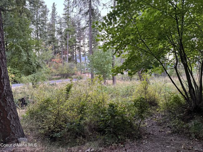 524 Glacier Loop, House other with 1 bedrooms, 1 bathrooms and null parking in Bayview ID | Image 49