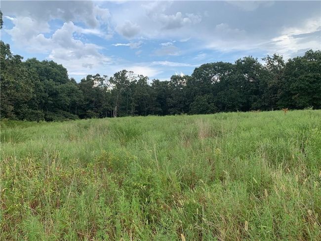 8 N Mt Olive Road, Home with 0 bedrooms, 0 bathrooms and null parking in Gravette AR | Image 15