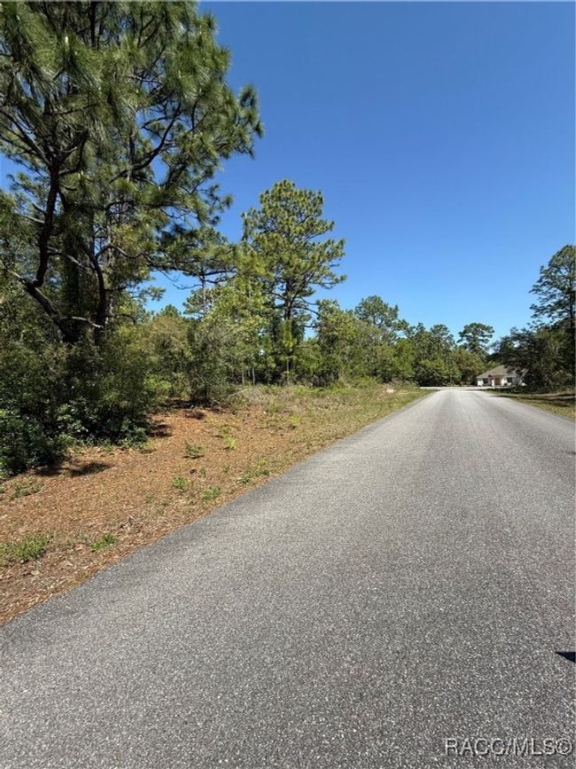 6526 N Shafton Ter, Home with 0 bedrooms, 0 bathrooms and null parking in DUNNELLON FL | Image 4