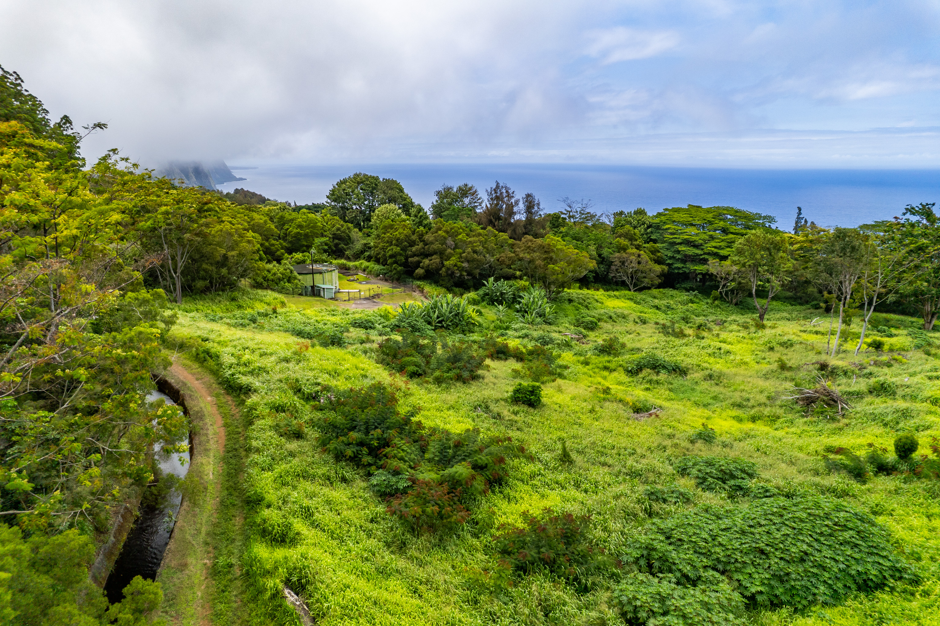 Land in Honokaa 2