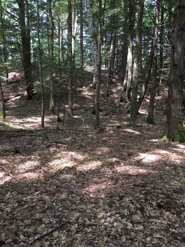1 - 0 Old Ledge Road, Home with 0 bedrooms, 0 bathrooms and null parking in Westminster VT | Image 12