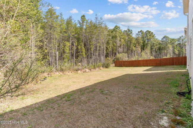 393 Frisco Way, Townhouse with 3 bedrooms, 3 bathrooms and 1 parking in Holly Ridge NC | Image 30