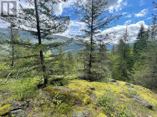 Lot 1 Langill Road, Krestova, BC, V0G1H0 | Card Image