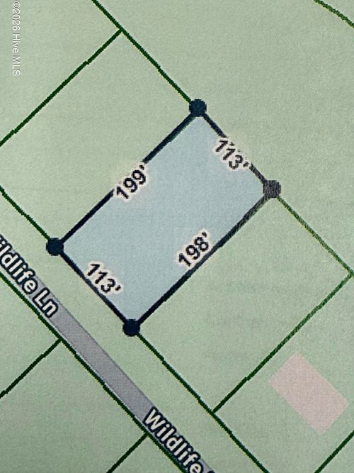 10 Wildlife Lane, Wagram, NC, 28396 | Card Image