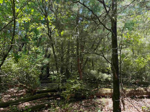5+ Acre 8th Avenue, DELL PRAIRIE, WI, 53965 | Card Image