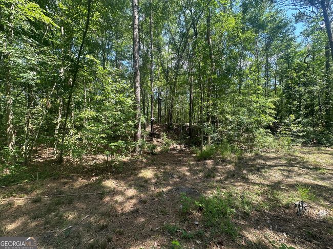 925 Cleary Rd, House other with 3 bedrooms, 2 bathrooms and null parking in Brooklet GA | Image 36