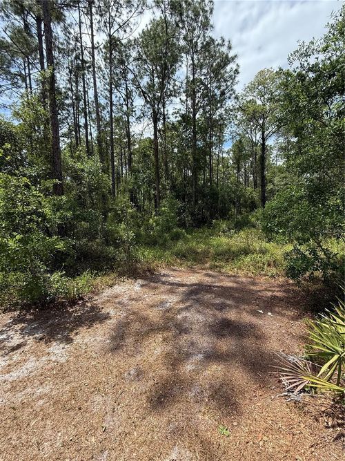 TBD Ne 156th Ln, FORT MC COY, FL, 32134 | Card Image