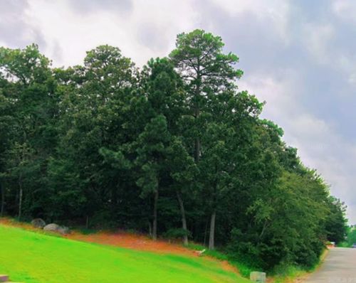 26 Norfork Dr, Maumelle, AR, 72113-6532 | Card Image