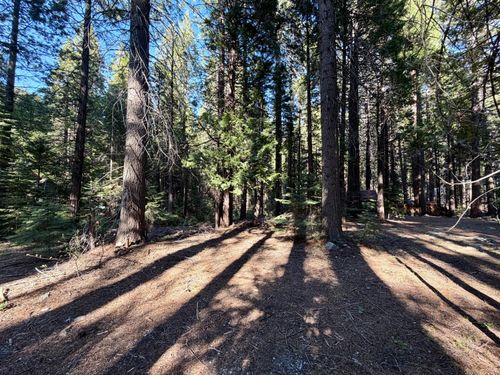 184 Creekside Drive, Camp Connell, CA, 95223 | Card Image