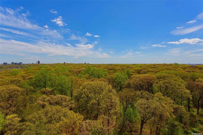 View of nature with a wooded view | Image 29
