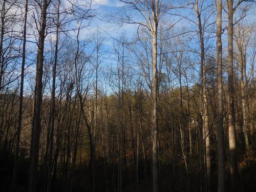 21 Moody Dr, Gatlinburg, TN, 37738 | Card Image