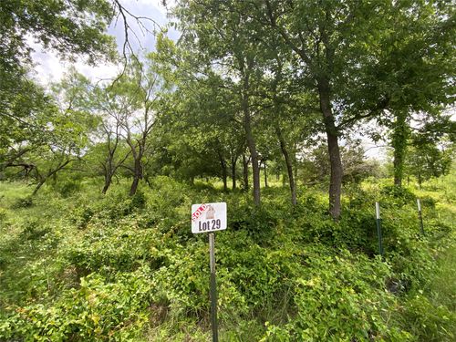 Lot 29 Twisted Creek Dr, Gustine, TX, 76455-6376 | Card Image
