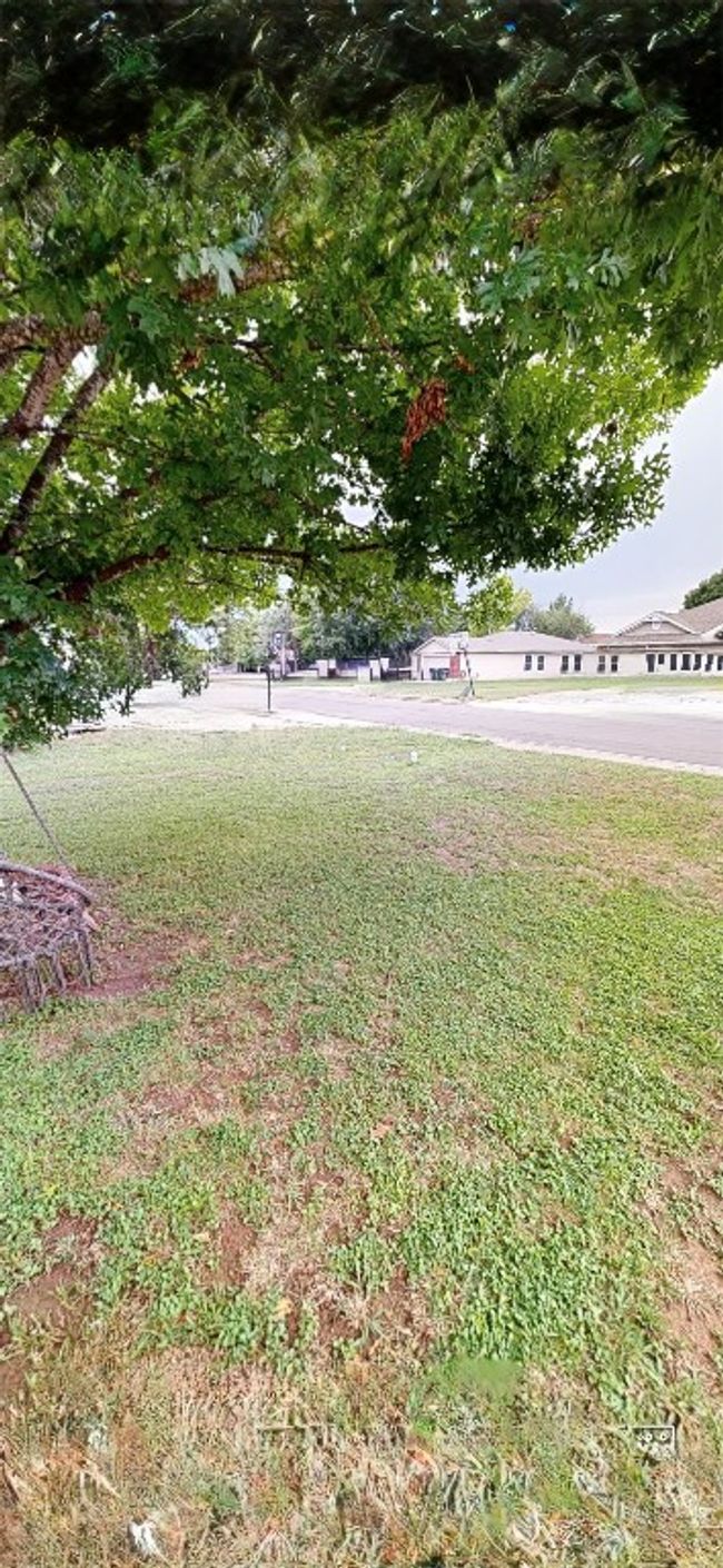 View of grassy yard | Image 5