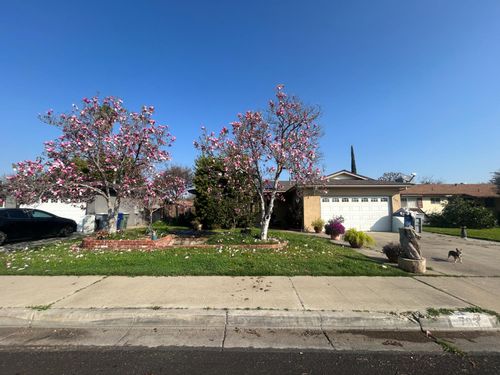703 W Holland Ave, Clovis, CA, 93612-4851 | Card Image