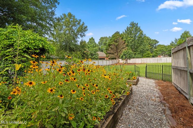 205 Bellewether Pass-48 | Image 34