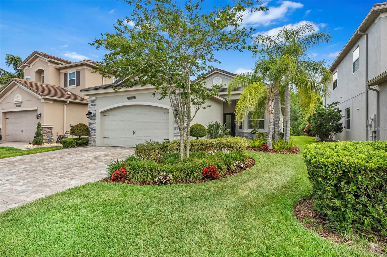 Ceasar Park Dr, Wesley Chapel, FL 33543