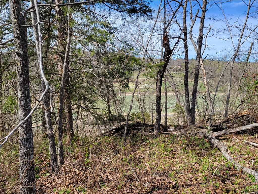 Land in Bella Vista