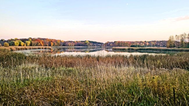 Waters edge, across the bay is Hazelden Betty Ford Clinic | Image 7