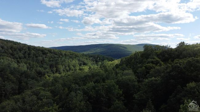 15 Gorge Rd, Home with 0 bedrooms, 0 bathrooms and null parking in Middleburgh NY | Image 18