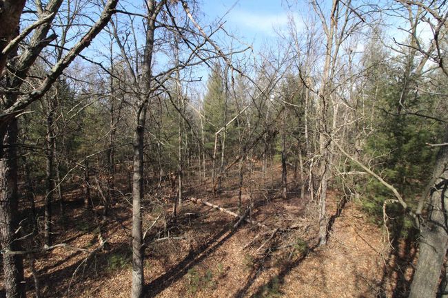 7750 Pine Rd, House other with 3 bedrooms, 2 bathrooms and null parking in ARENA WI | Image 55